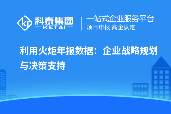 利用火炬年報(bào)數(shù)據(jù)：企業(yè)戰(zhàn)略規(guī)劃與決策支持