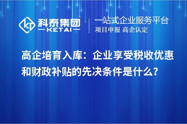 高企培育入庫：企業(yè)享受稅收優(yōu)惠和財(cái)政補(bǔ)貼的先決條件是什么？