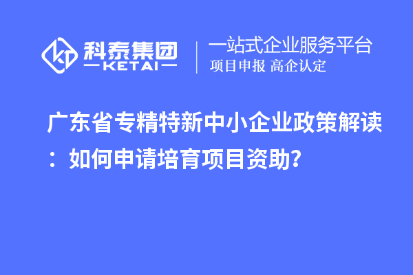 廣東省專精特新中小企業(yè)政策解讀：如何申請培育項(xiàng)目資助？