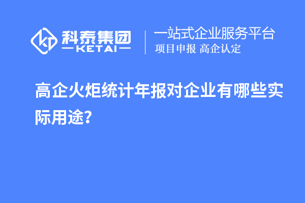 高企火炬統計年報對企業(yè)有哪些實(shí)際用途？