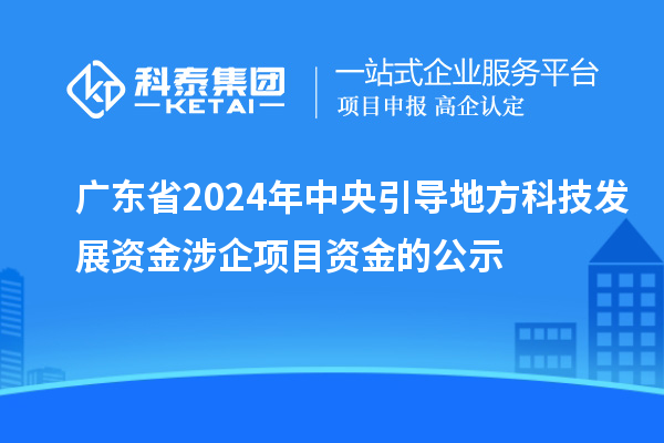 廣東省2024年中央引導(dǎo)地方科技發(fā)展資金涉企項(xiàng)目資金的公示