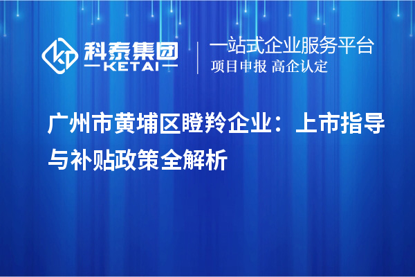 廣州市黃埔區瞪羚企業(yè)：上市指導與補貼政策全解析