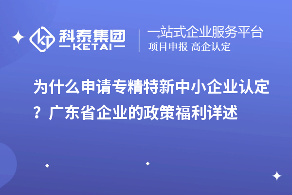 為什么申請(qǐng)專精特新中小企業(yè)認(rèn)定？廣東省企業(yè)的政策福利詳述