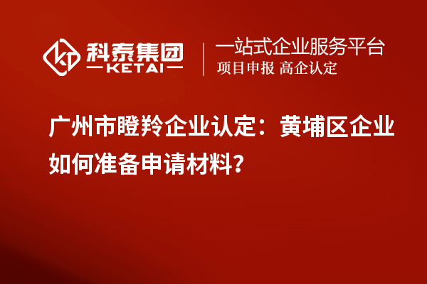 廣州市瞪羚企業(yè)認(rèn)定：黃埔區(qū)企業(yè)如何準(zhǔn)備申請(qǐng)材料？