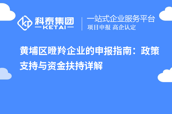 黃埔區(qū)瞪羚企業(yè)的申報(bào)指南：政策支持與資金扶持詳解