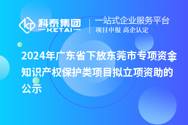 2024年廣東省下放東莞市專項資金知識產權保護類項目擬立項資助的公示