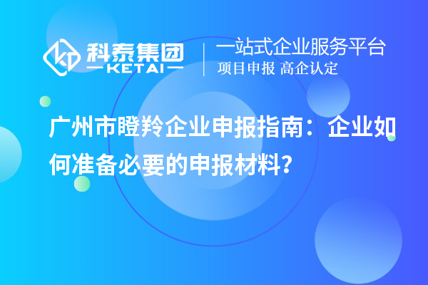 廣州市瞪羚企業(yè)申報(bào)指南：企業(yè)如何準(zhǔn)備必要的申報(bào)材料？