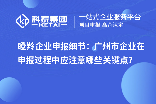 瞪羚企業(yè)申報(bào)細(xì)節(jié)：廣州市企業(yè)在申報(bào)過(guò)程中應(yīng)注意哪些關(guān)鍵點(diǎn)？