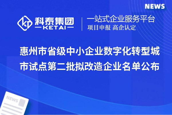 惠州市省級中小企業(yè)數字化轉型城市試點(diǎn)第二批擬改造企業(yè)名單公布