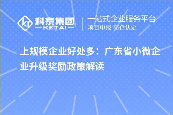 上規模企業(yè)好處多：廣東省小微企業(yè)升級獎勵政策解讀