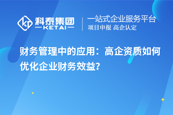 財務(wù)管理中的應用：高企資質(zhì)如何優(yōu)化企業(yè)財務(wù)效益？