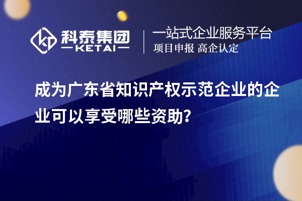 成為廣東省知識產(chǎn)權(quán)示范企業(yè)的企業(yè)可以享受哪些資助？