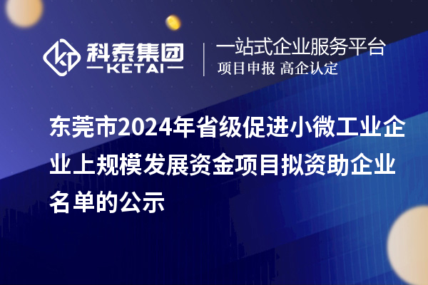 東莞市2024年省級促進(jìn)小微工業(yè)企業(yè)上規模發(fā)展資金項目擬資助企業(yè)名單的公示