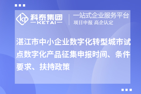 湛江市中小企業(yè)數字化轉型城市試點(diǎn)數字化產(chǎn)品征集申報時(shí)間、條件要求、扶持政策