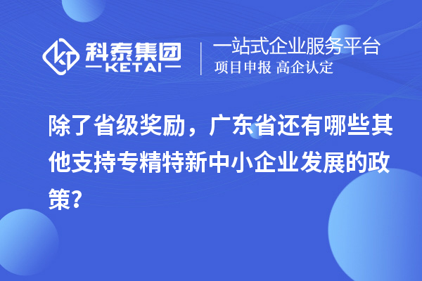 除了省級獎勵，廣東省還有哪些其他支持專(zhuān)精特新中小企業(yè)發(fā)展的政策？