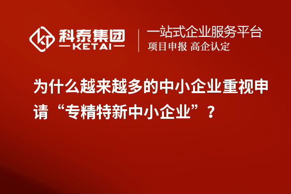 為什么越來越多的中小企業(yè)重視申請(qǐng)“專精特新中小企業(yè)”？