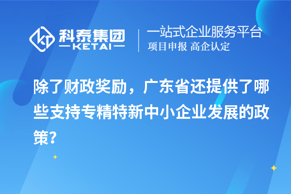 除了財政獎勵，廣東省還提供了哪些支持專精特新中小企業(yè)發(fā)展的政策？