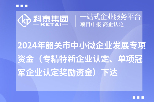 2024年韶關市中小微企業(yè)發(fā)展專項資金（專精特新企業(yè)認定、單項冠軍企業(yè)認定獎勵資金）下達