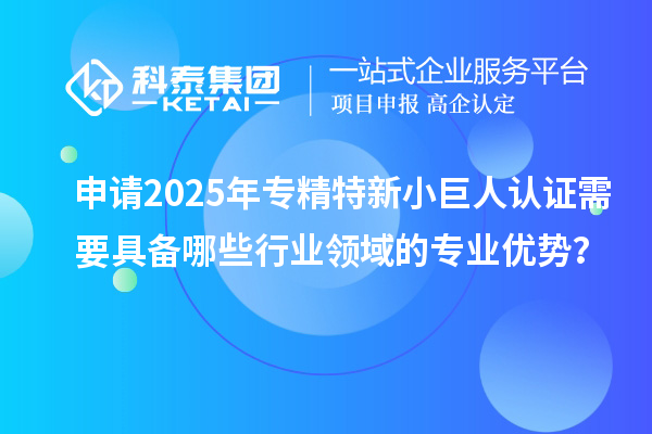 申請(qǐng)2025年專(zhuān)精特新小巨人認(rèn)證需要具備哪些行業(yè)領(lǐng)域的專(zhuān)業(yè)優(yōu)勢(shì)？