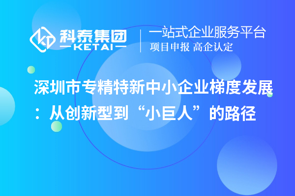 深圳市專(zhuān)精特新中小企業(yè)梯度發(fā)展：從創(chuàng)新型到“小巨人”的路徑