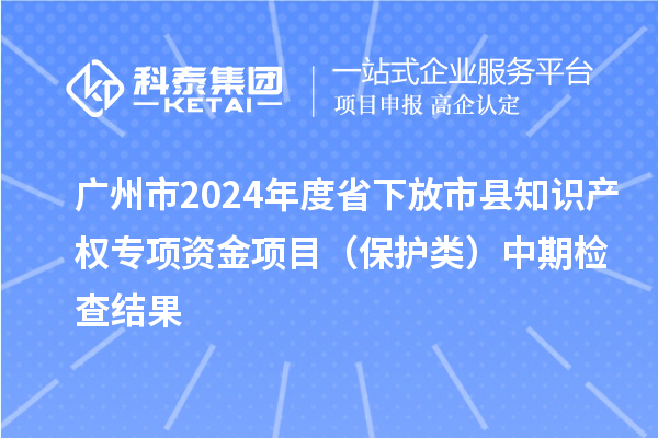 廣州市2024年度省下放市縣知識產(chǎn)權專(zhuān)項資金項目（保護類(lèi)）中期檢查結果