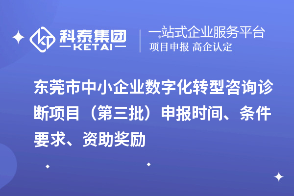 東莞市中小企業(yè)數字化轉型咨詢(xún)診斷項目（第三批）申報時(shí)間、條件要求、資助獎勵