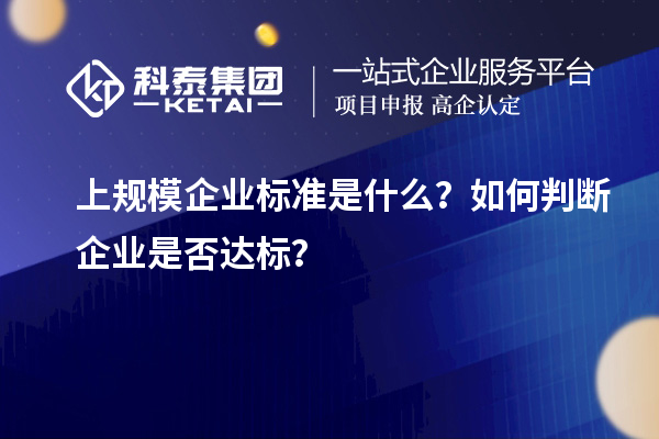 上規模企業(yè)標準是什么？如何判斷企業(yè)是否達標？