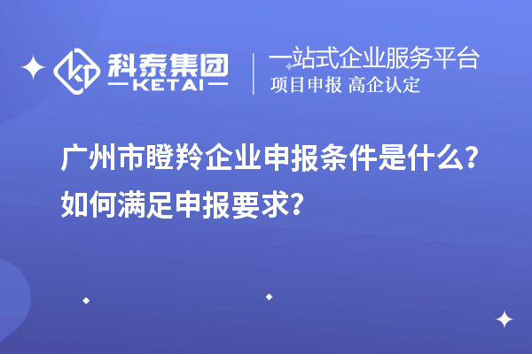 廣州市瞪羚企業(yè)申報(bào)條件是什么？如何滿足申報(bào)要求？