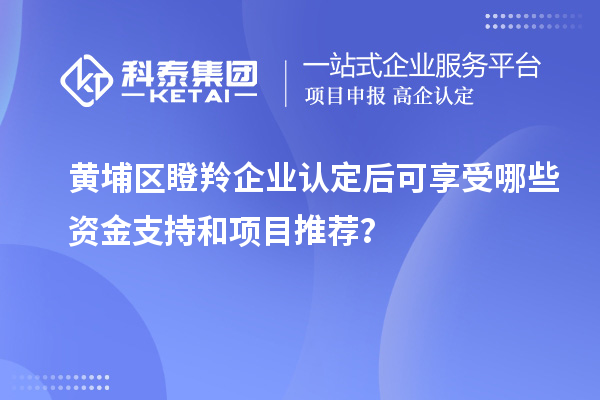 黃埔區(qū)瞪羚企業(yè)認(rèn)定后可享受哪些資金支持和項(xiàng)目推薦？