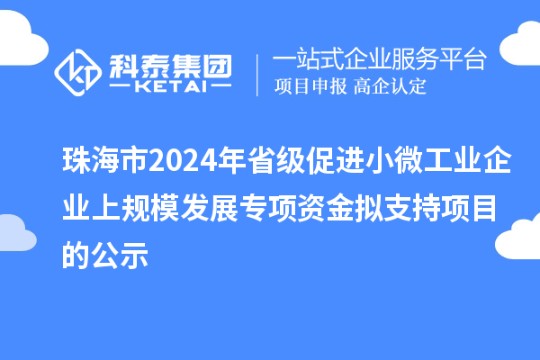 珠海市2024年省級(jí)促進(jìn)小微工業(yè)企業(yè)上規(guī)模發(fā)展專項(xiàng)資金擬支持項(xiàng)目的公示