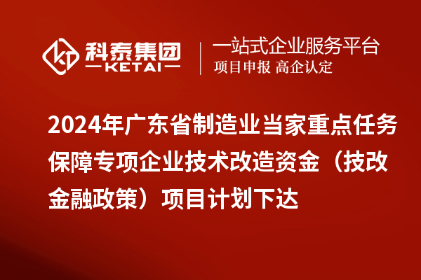 2024年廣東省制造業(yè)當家重點任務保障專項企業(yè)技術改造資金（技改金融政策）項目計劃下達