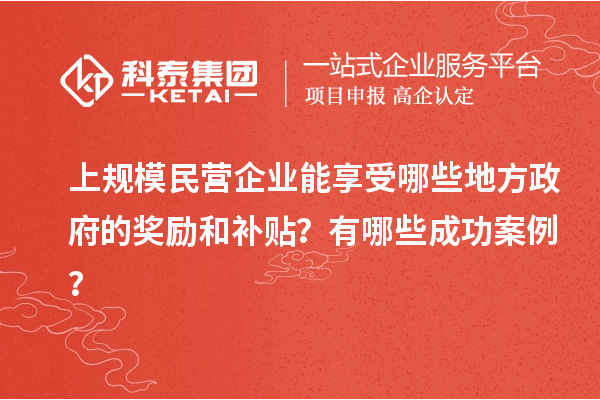 上規(guī)模民營(yíng)企業(yè)能享受哪些地方政府的獎(jiǎng)勵(lì)和補(bǔ)貼？有哪些成功案例？