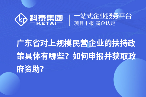 廣東省對(duì)上規(guī)模民營(yíng)企業(yè)的扶持政策具體有哪些？如何申報(bào)并獲取政府資助？