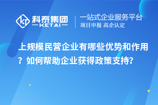 上規(guī)模民營(yíng)企業(yè)有哪些優(yōu)勢(shì)和作用？如何幫助企業(yè)獲得政策支持？