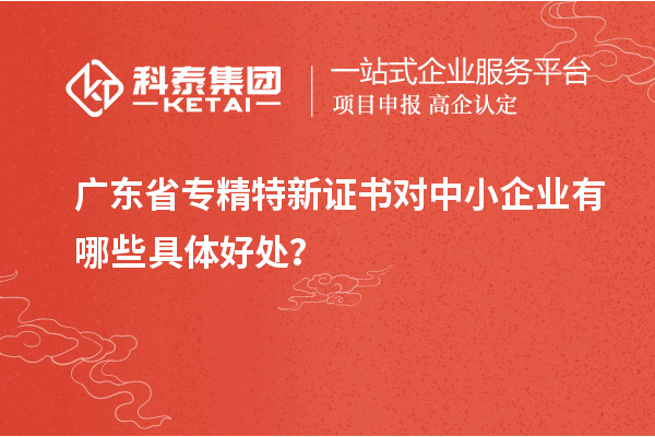 廣東省專精特新證書對(duì)中小企業(yè)有哪些具體好處？