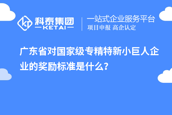 廣東省對(duì)國(guó)家級(jí)專(zhuān)精特新小巨人企業(yè)的獎(jiǎng)勵(lì)標(biāo)準(zhǔn)是什么？