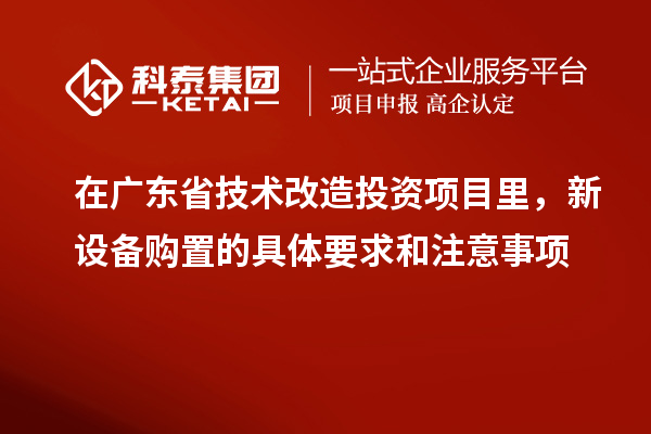 在廣東省技術(shù)改造投資項(xiàng)目里，新設(shè)備購置的具體要求和注意事項(xiàng)