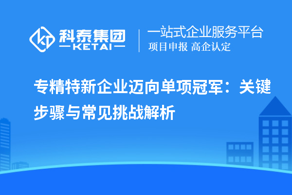 專精特新企業(yè)邁向單項冠軍：關鍵步驟與常見挑戰(zhàn)解析