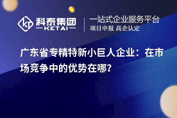 廣東省專精特新小巨人企業(yè)：在市場(chǎng)競(jìng)爭(zhēng)中的優(yōu)勢(shì)在哪？