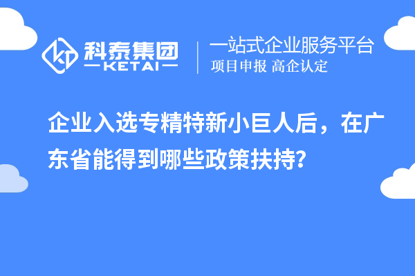 企業(yè)入選專精特新小巨人后，在廣東省能得到哪些政策扶持？