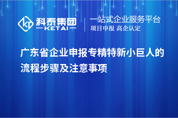 廣東省企業(yè)申報(bào)專精特新小巨人的流程步驟及注意事項(xiàng)