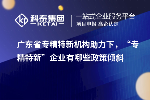 廣東省專(zhuān)精特新機(jī)構(gòu)助力下，“專(zhuān)精特新” 企業(yè)有哪些政策傾斜