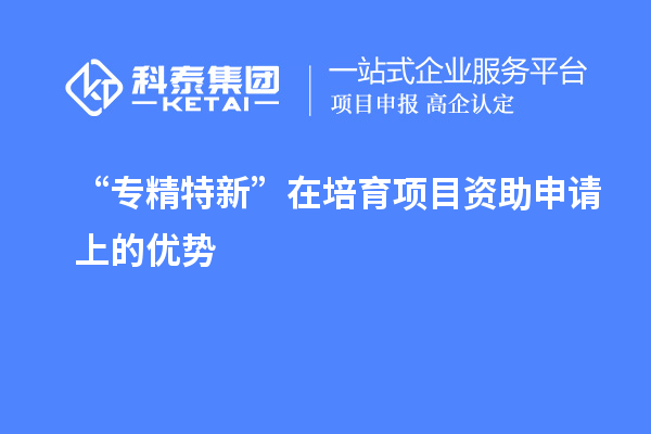 “專(zhuān)精特新” 在培育項(xiàng)目資助申請(qǐng)上的優(yōu)勢(shì)