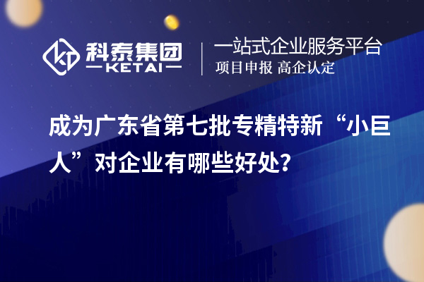 成為廣東省第七批專精特新“小巨人”對企業(yè)有哪些好處？