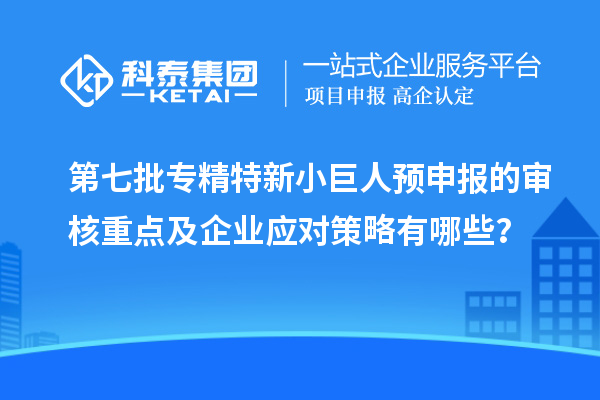 第七批專精特新小巨人預申報的審核重點及企業(yè)應對策略有哪些？