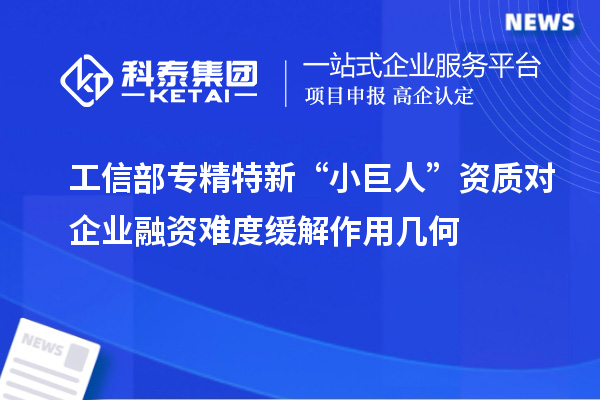 工信部專精特新 “小巨人” 資質對企業(yè)融資難度緩解作用幾何