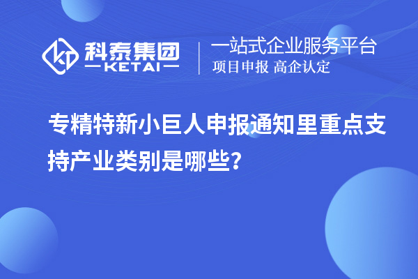 專精特新小巨人申報(bào)通知里重點(diǎn)支持產(chǎn)業(yè)類別是哪些？