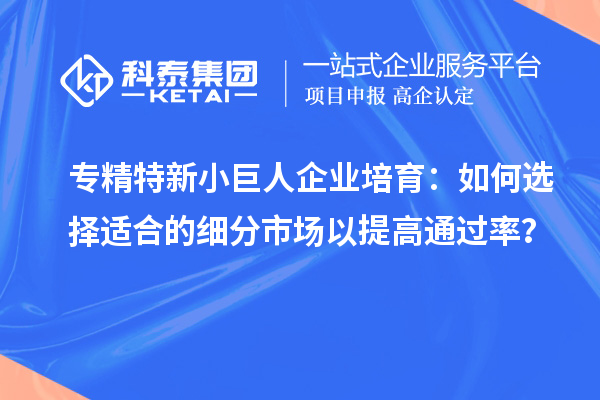 專精特新小巨人企業(yè)培育：如何選擇適合的細(xì)分市場(chǎng)以提高通過率？