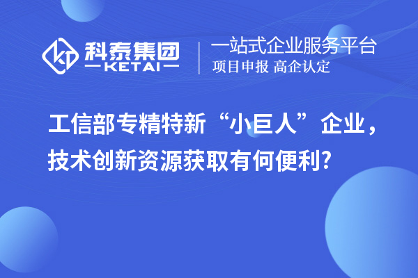 工信部專精特新 “小巨人” 企業(yè)，技術(shù)創(chuàng)新資源獲取有何便利?