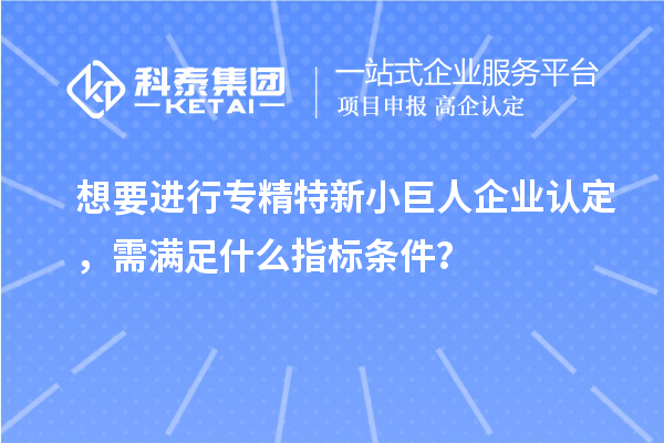 想要進(jìn)行專精特新小巨人企業(yè)認(rèn)定，需滿足什么指標(biāo)條件？